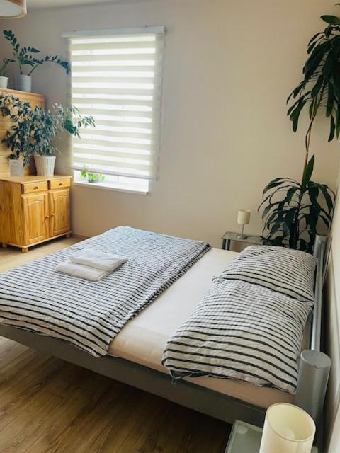 Apartman Lucian Прага Екстериор снимка